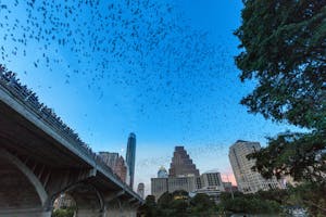 A photo of the Congress Ave Bat Bridge Kayak Tour in Austin, Texas