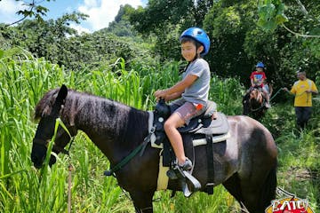 child on horse
