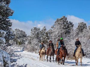 a group of people riding a horse in the snow