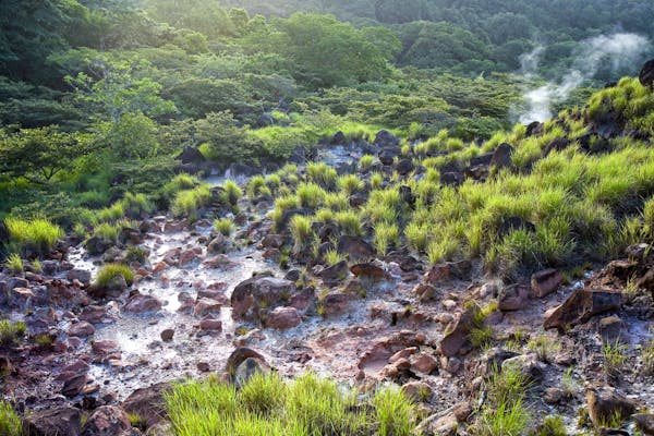 Rincon De La Vieja National Park Hacienda Guachipelin