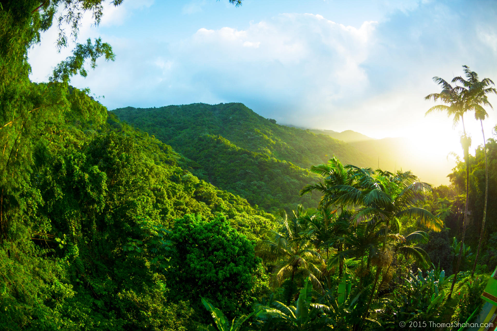 El yunque off the 2025 beaten path hiking tour