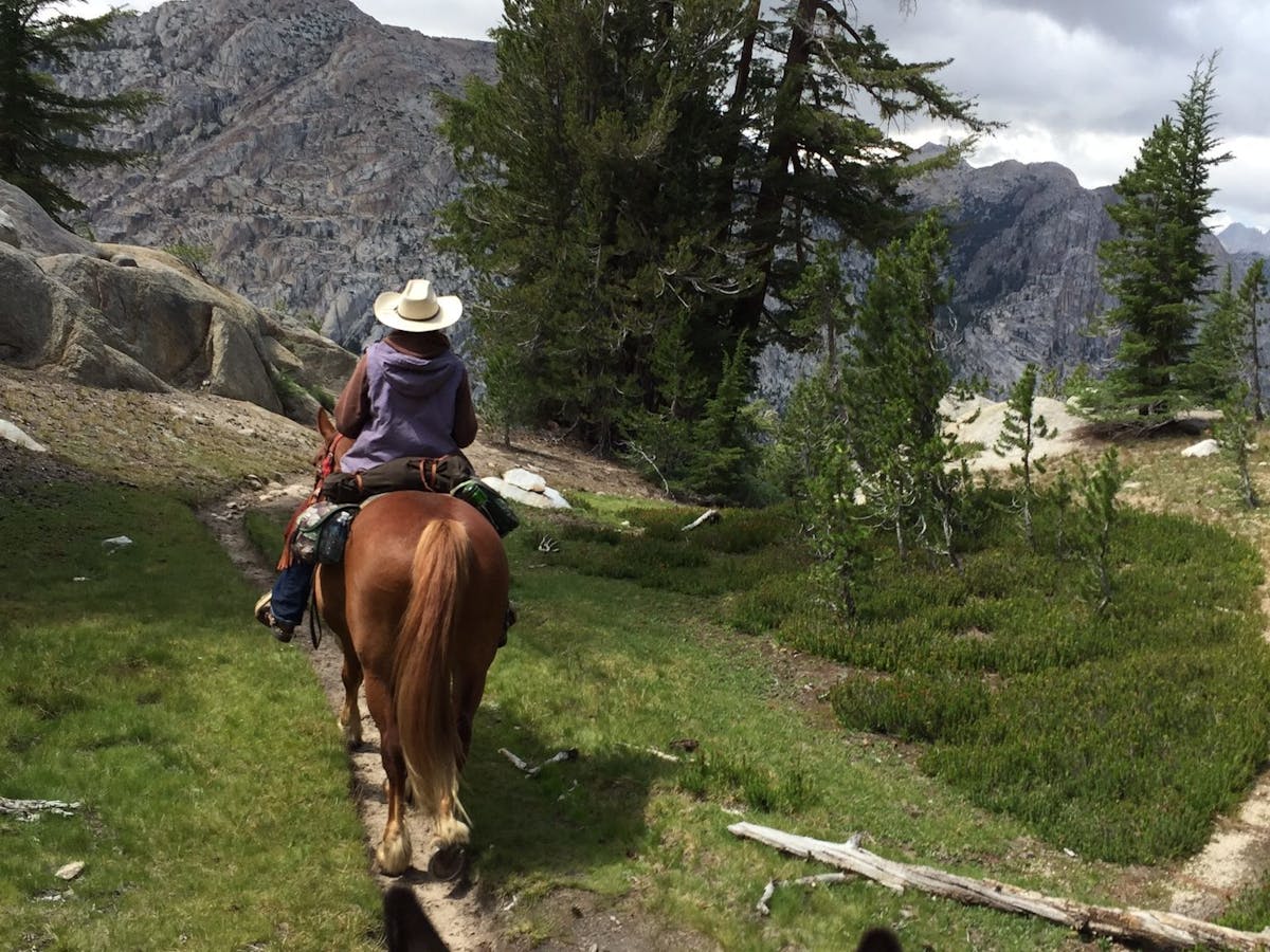 horseback riders with mountains and trees