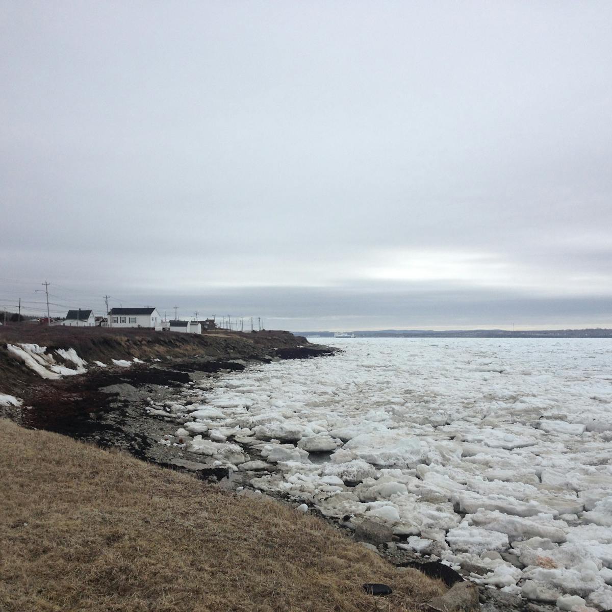 ice chunks lining the coast