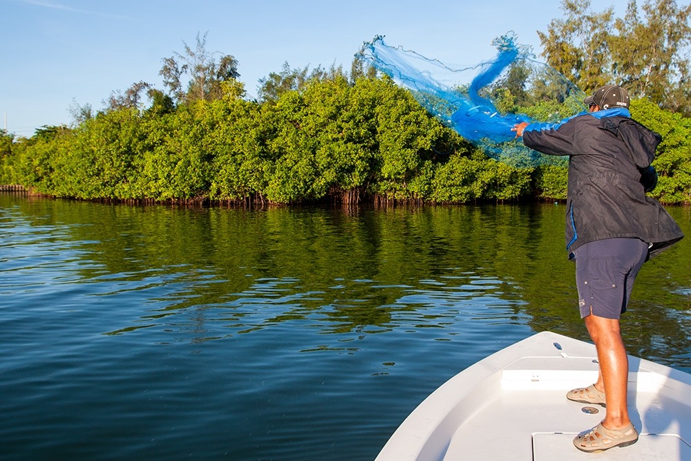 a person standing next to a body of water