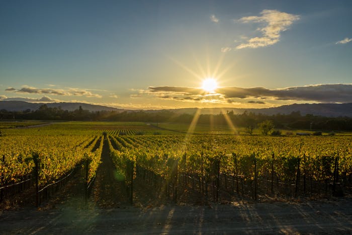 San Francisco Wine Country Tours | Guided Wine Tasting Tour