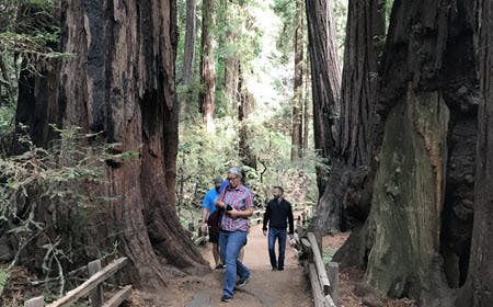 Private Muir Woods and Sausalito Half Day Tour