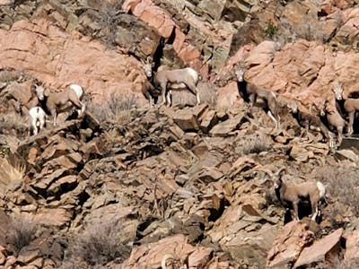 a pile of dirt in a rocky area