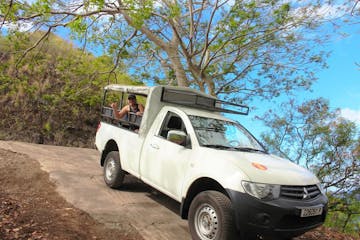 A woman in a truck in the jungle.