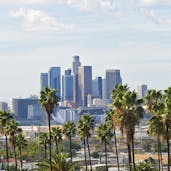 Los Angeles skyline with palm trees in forefront
