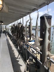  Fishing Charters - Galveston, TX
