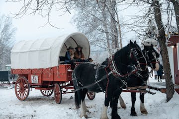 a horse drawn carriage traveling down a snow covered street