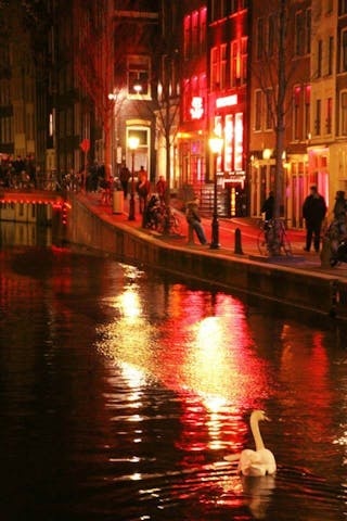 Amsterdam Sex Clubs Group - Amsterdam Red Light District Tour | That Dam Guide