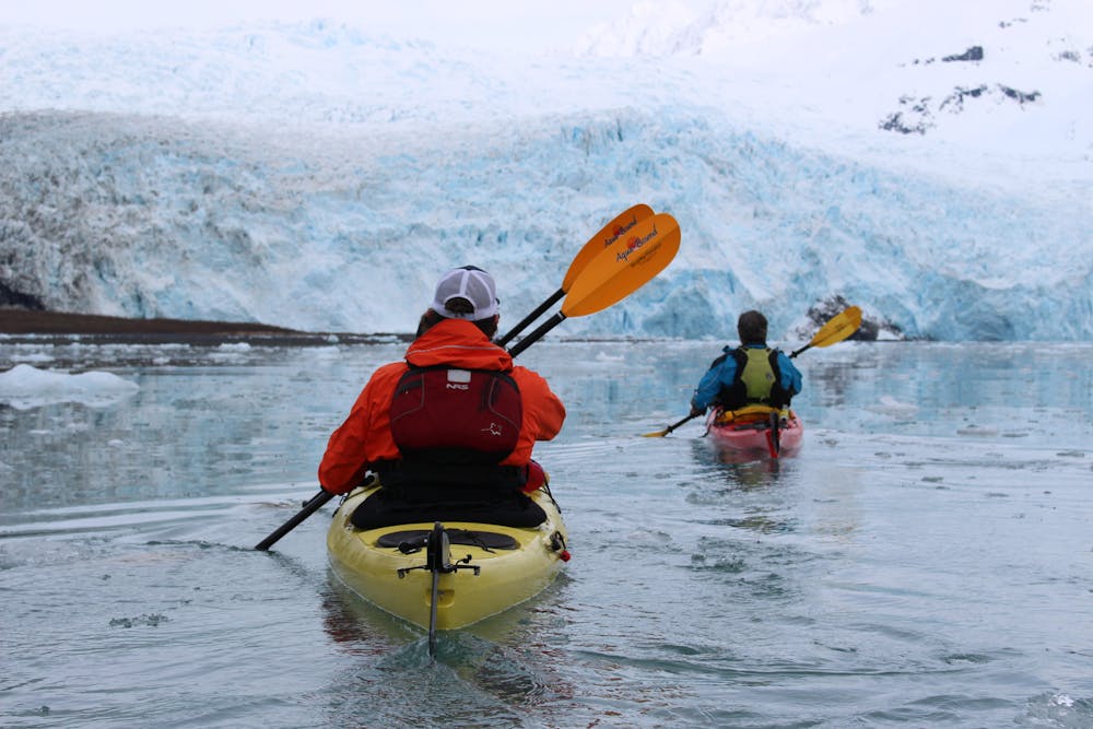 Two people in a double kayak follow a guide on a small group sea kayak tour to Aialik Glacier