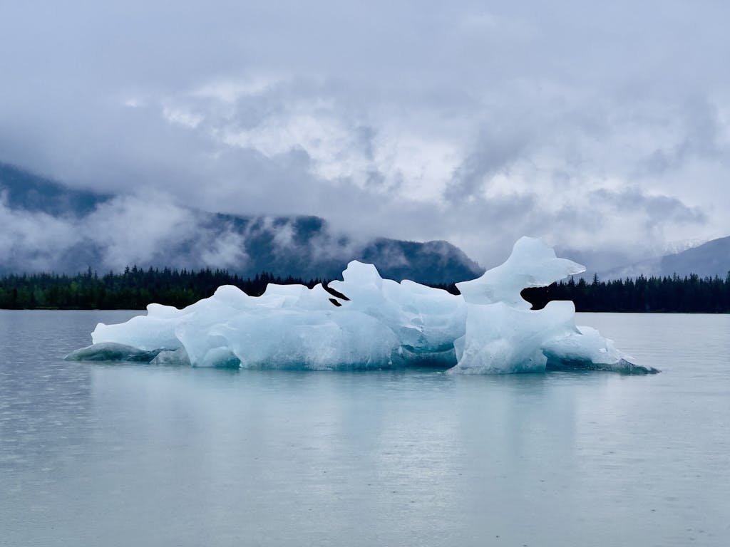 Large Iceberg Floating in the Mendenhall Glacier Lake