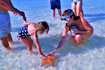 Group of people looking at large starfish in the sand
