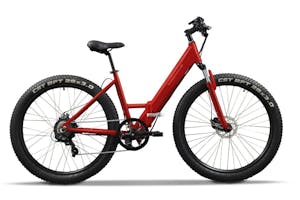 Step through eBike (only 2 of these eBikes)