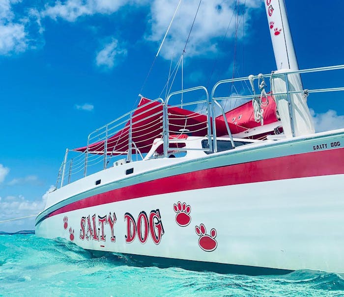 Salty Dog Catamaran Puerto Ricos Ultimate Sail Experience