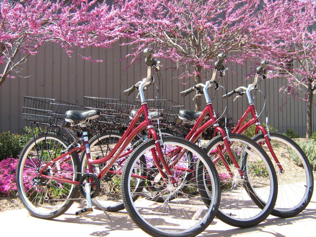 3 red bicycles