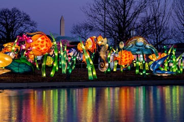 Chinese Lantern Festival at the Kennedy Center