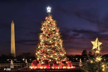 2021 National Christmas Tree