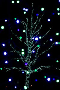 Christmas Lights at Longwood Gardens, Kennett Square, PA
