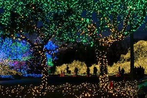 Festival of Lights at Mormon Temple, Kensington, MD