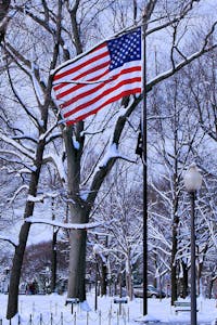 American Flag surrounded by snow-covered trees, near the Vietnam Servicemen Statue, Washington, DC