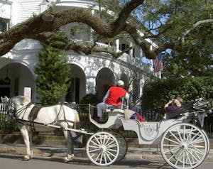 a person riding a horse drawn carriage