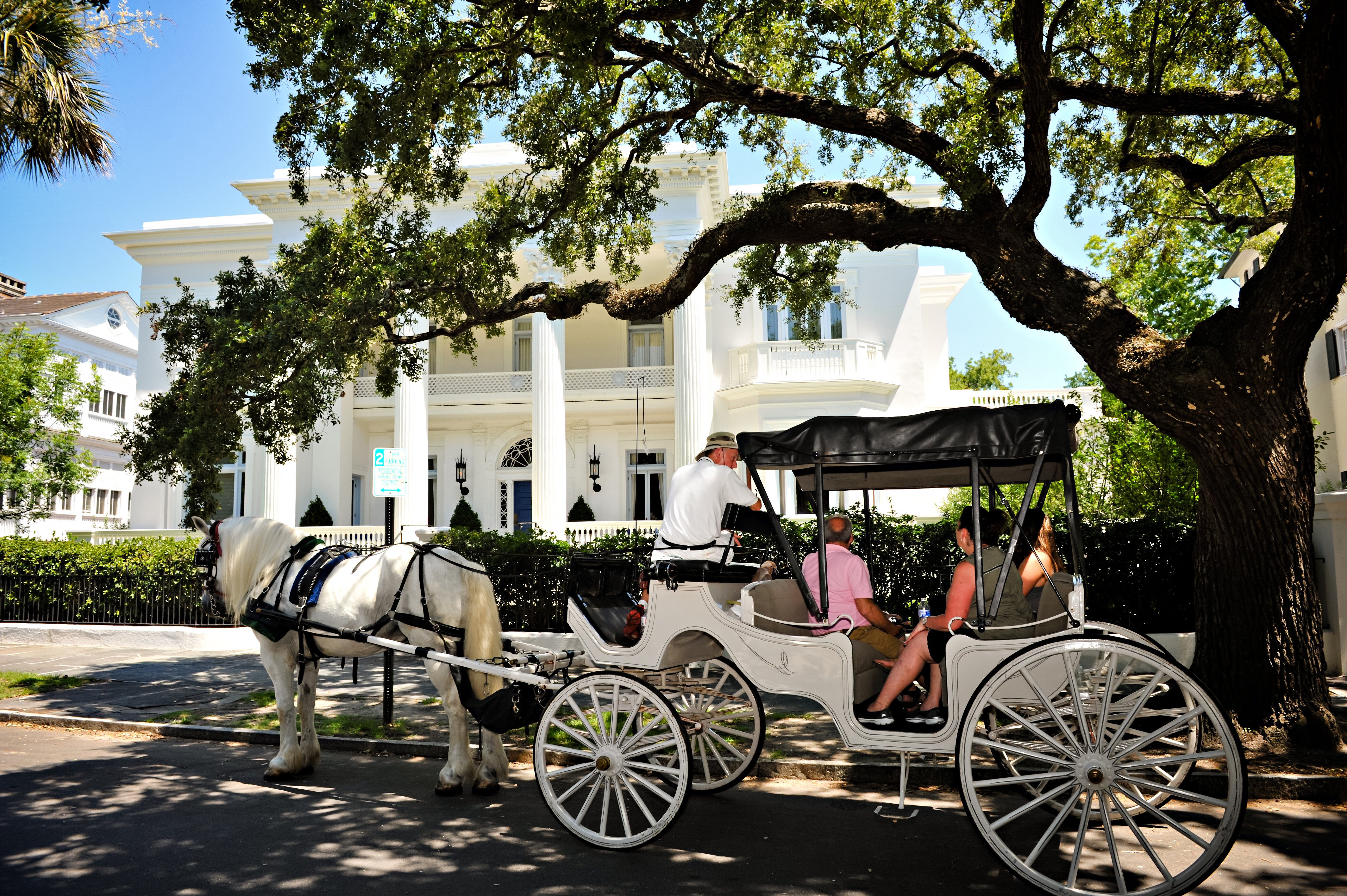 palmetto horse carriage tours