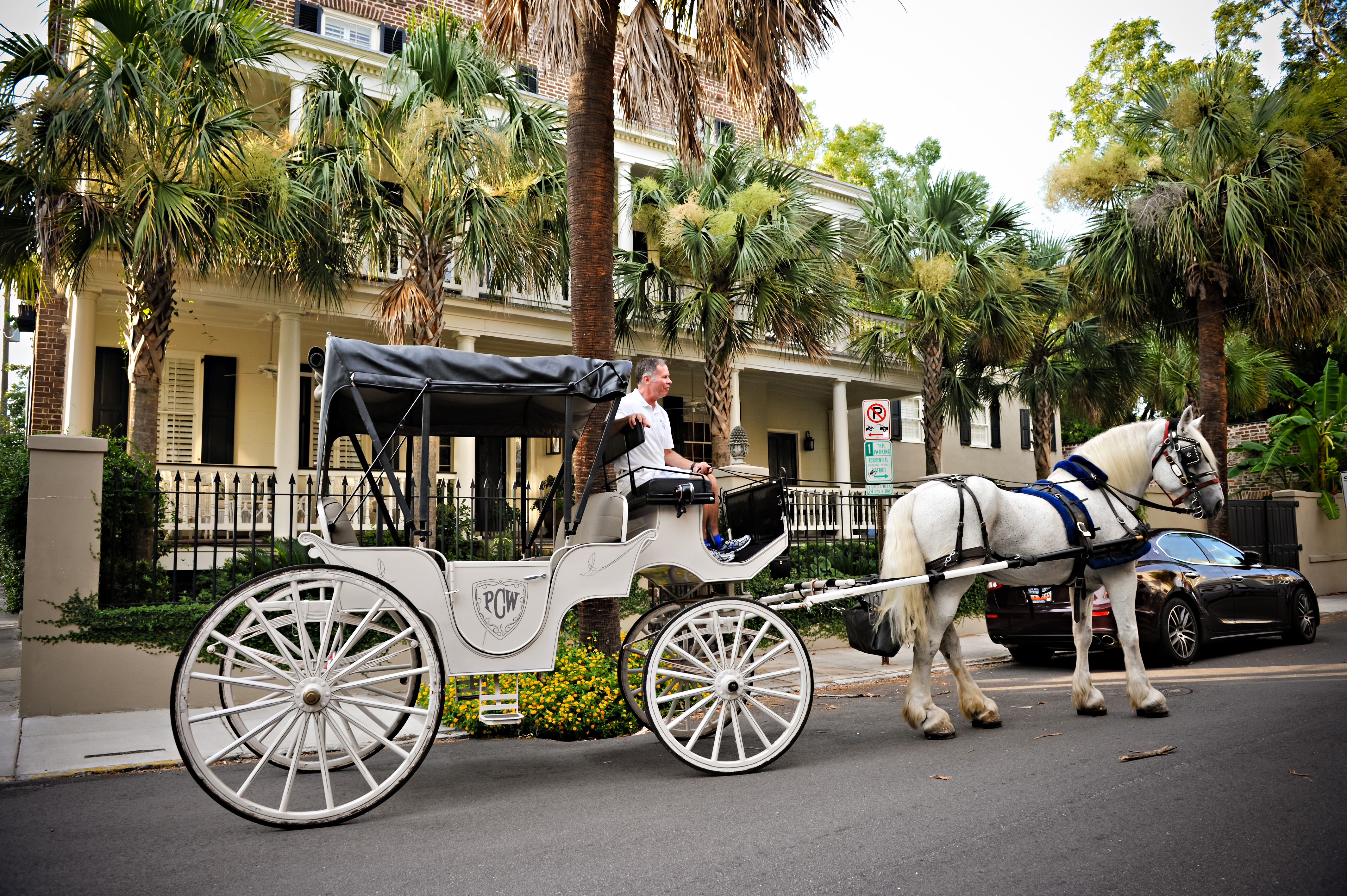 Charleston Carriage Tours 