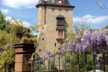 Rheingauer E-Bike Tour mit Vesper und Wein, Schloss Vollrads