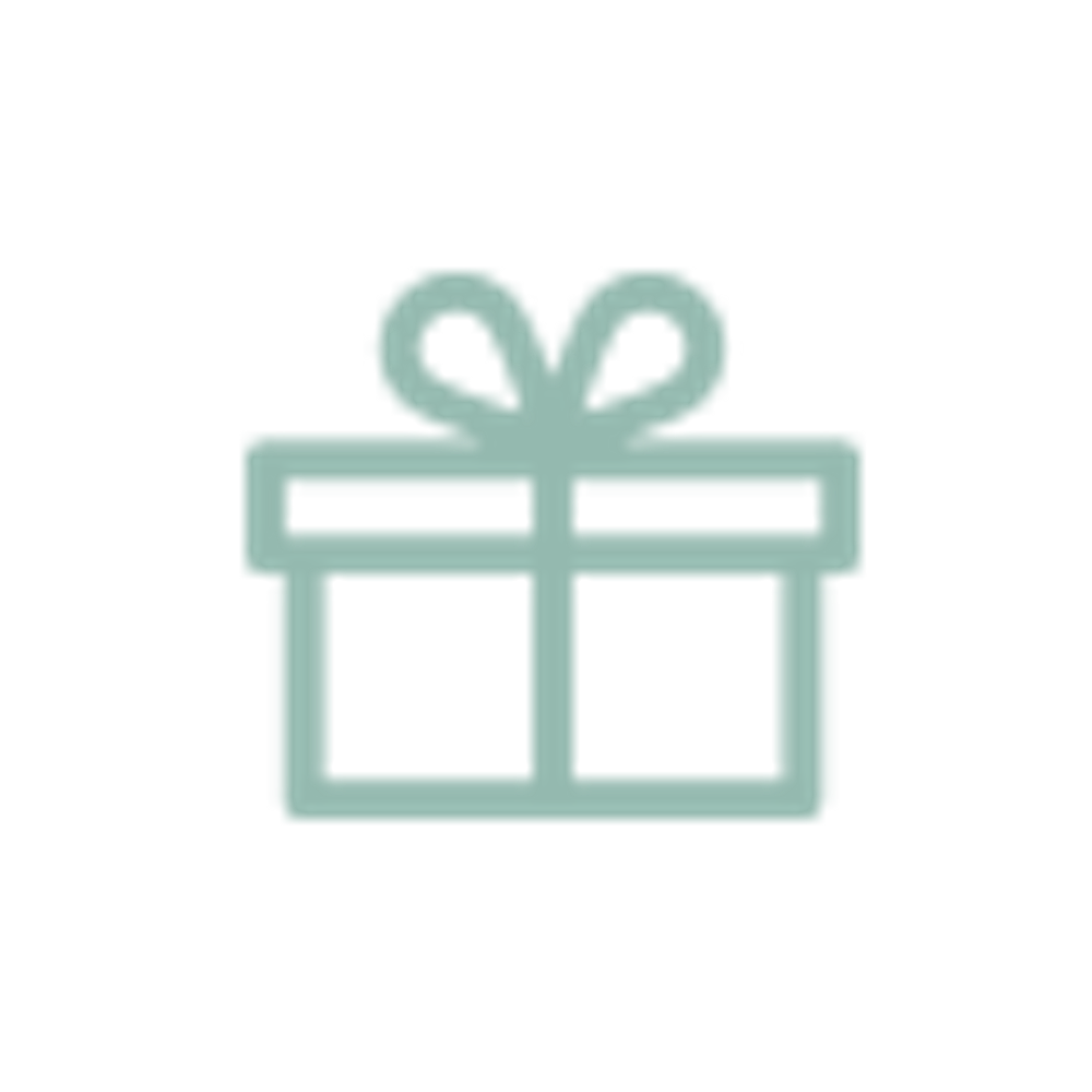 package/ present icon
