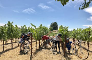 Group playing in a vineyard
