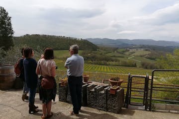 Vineyard in Chianti Tuscany
