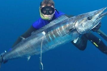 spearfishing cabo