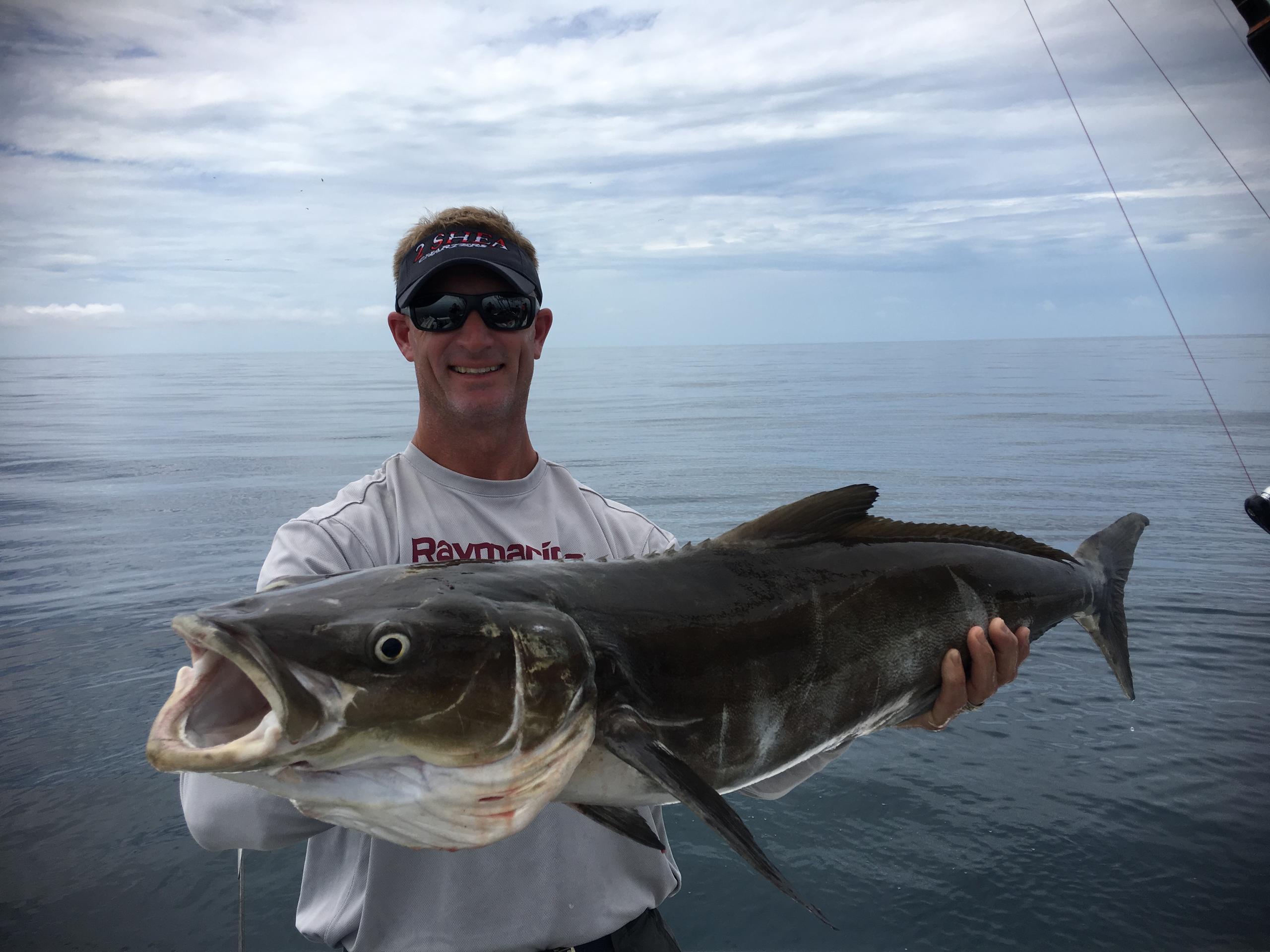 rod n reel charters