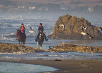 Horseback riding on the beach in Northern California