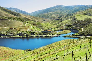 Vineyards and landscape of the Douro valley
