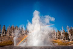 a rainbow in yellowstone national park