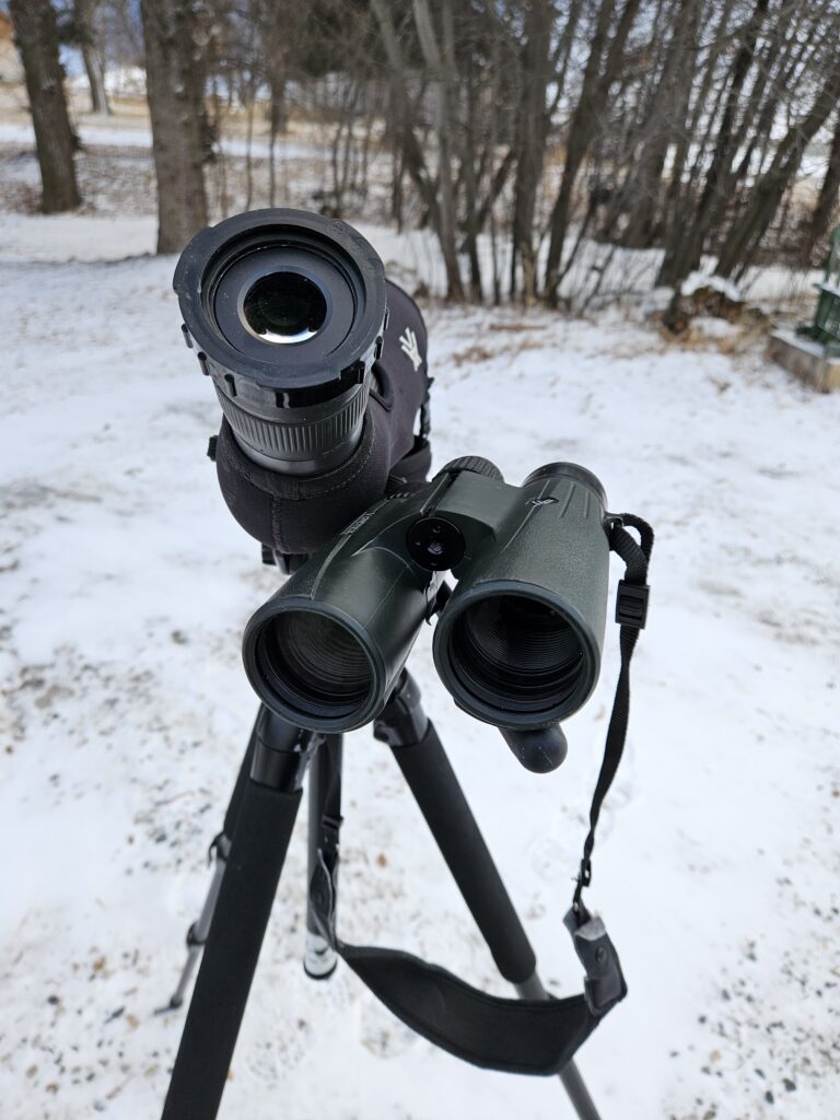 High-end binoculars and spotting scopes allow Yellowstone Wild guests to view wildlife safely and respectfully from a distance while on tour in Yellowstone National Park.