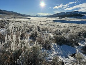 A winter sun rises over Yellowstone's Lamar Valley during Winter Wolf Week with Yellowstone Wild Tours.