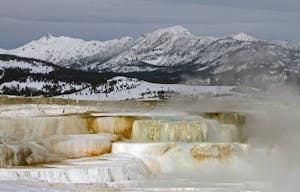 The Mammoth Hot Springs travertine terraces are among the many sights visitors encounter on tour with Yellowstone Wild Tours.
