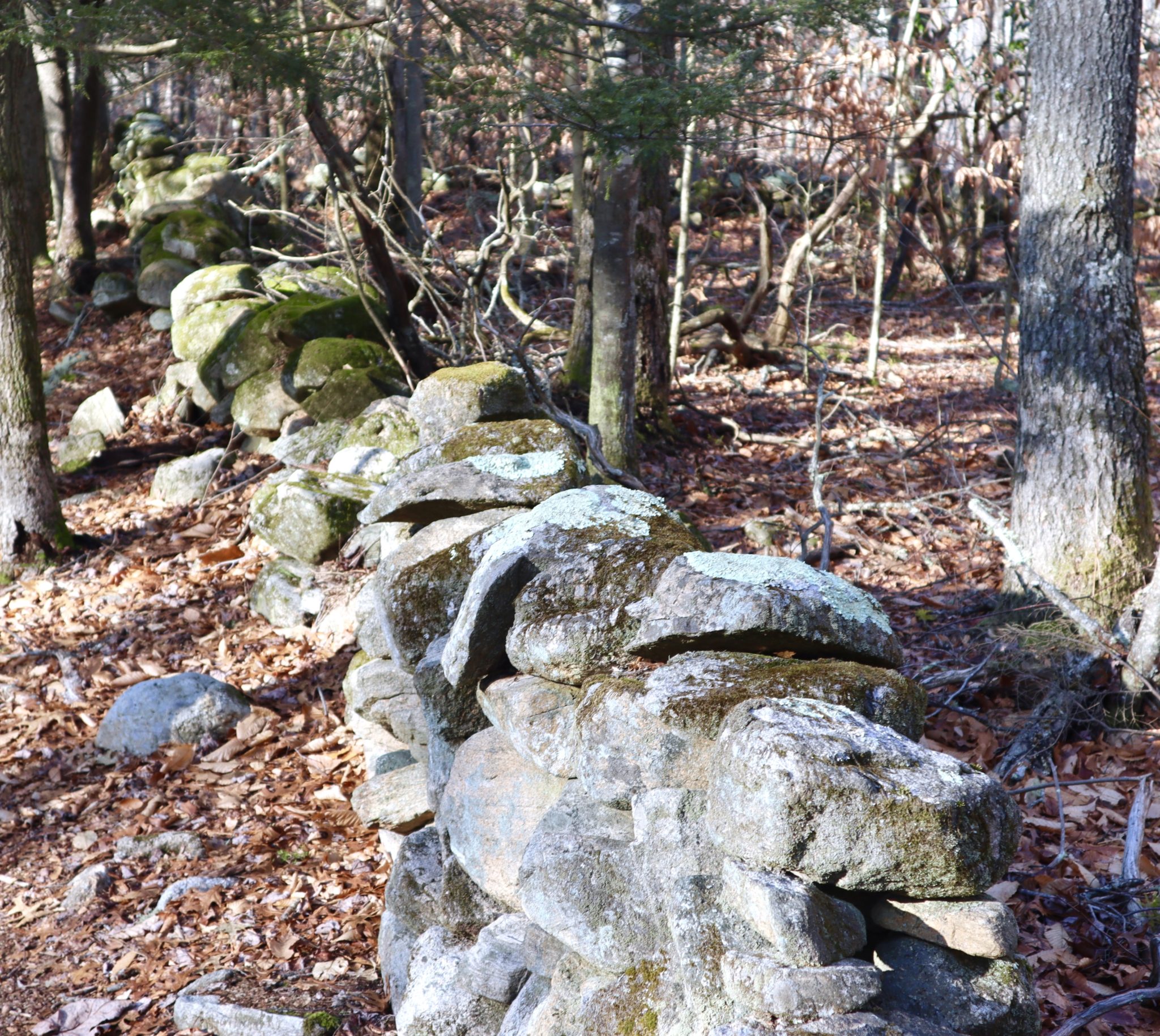 Collection 103+ Images why are there stone walls in new england Superb