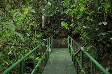 green walk ramp in forest in the park