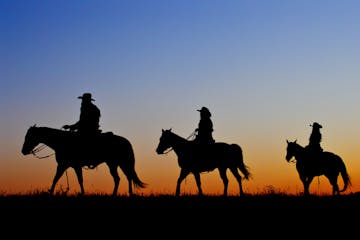Three horseback riders riding during sunset