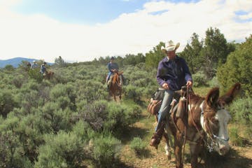 Guide leading horseback riders through sage brush trail