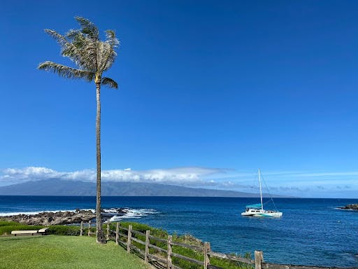 what to do in maui in february