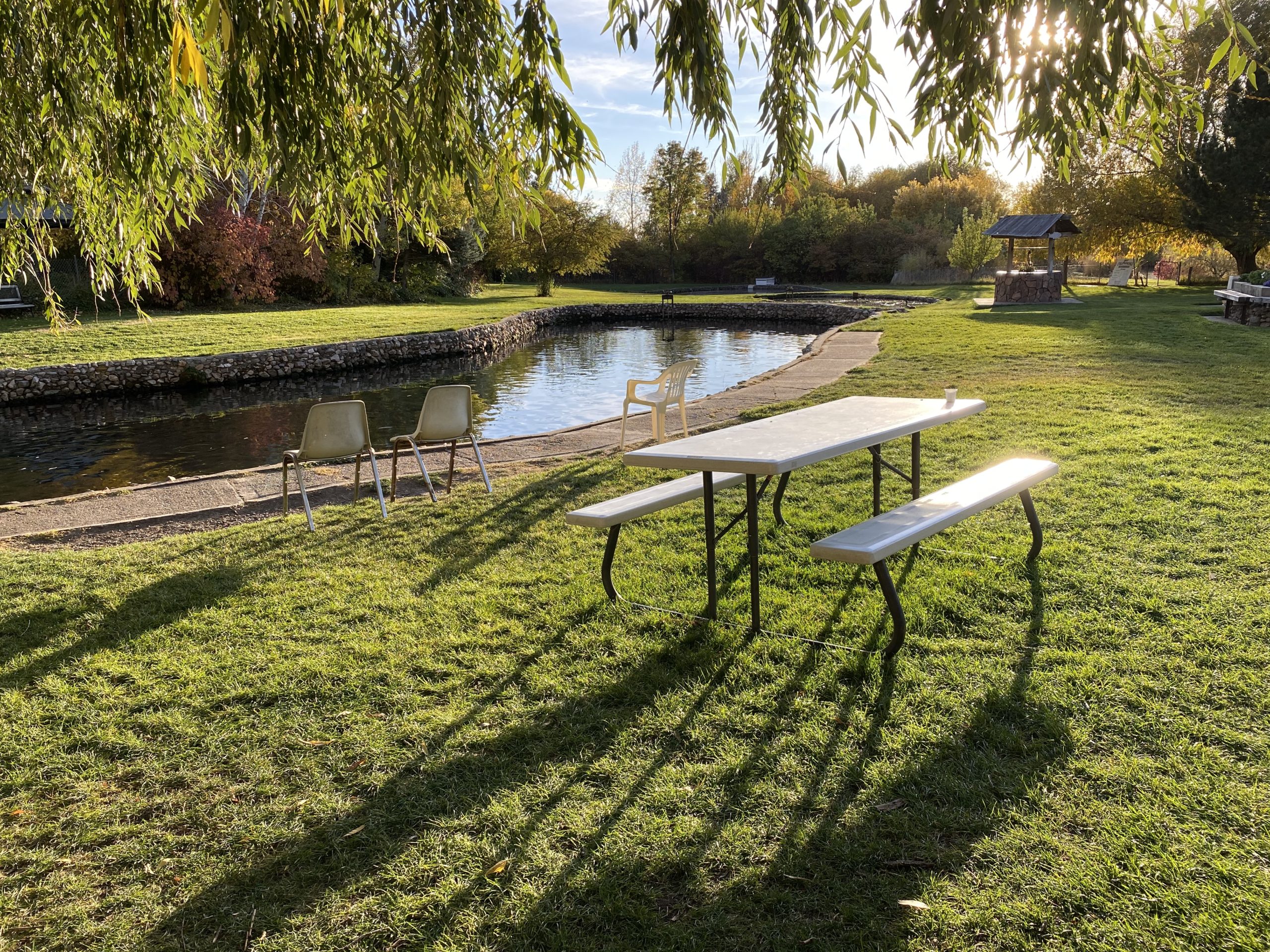 offer up picnic table