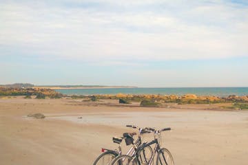 Bicycles parked on the beach in Wexford