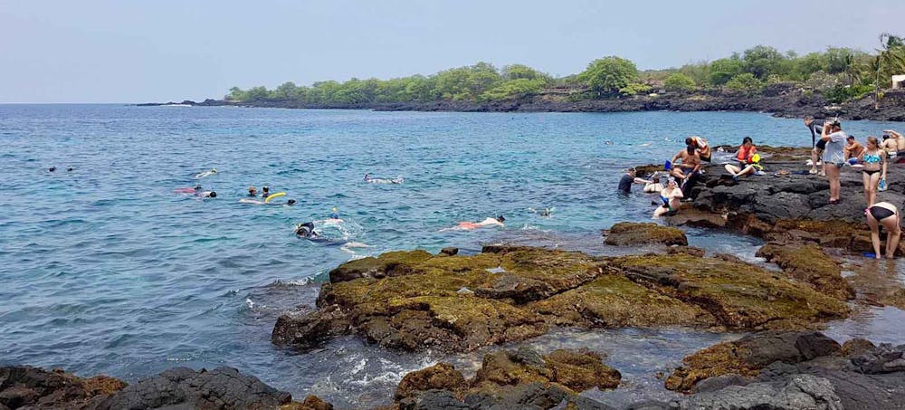 Top 5 Big Island  Snorkeling Spots Kona Snorkel Trips